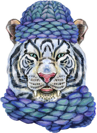 Watercolor illustration of white smiling tiger in a blue knitted hatの写真素材