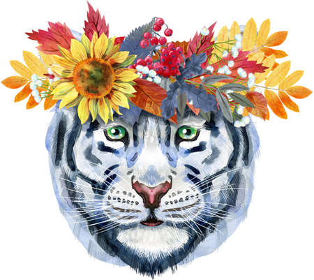 Watercolor illustration of white smiling tigerの写真素材