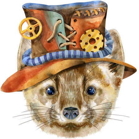 Small, funny, brown sable in steampunk hat on a white background, isolated image, illustration watercolorの写真素材