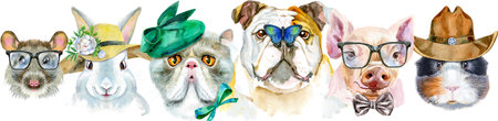 Pet border. Hand painted watercolor drawing, isolate clip art on white background. banner designの写真素材