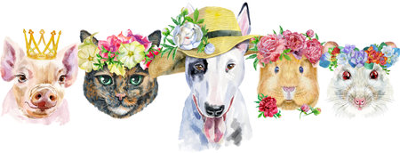 Pet border. Hand painted watercolor drawing, isolate clip art on white background. banner designの写真素材