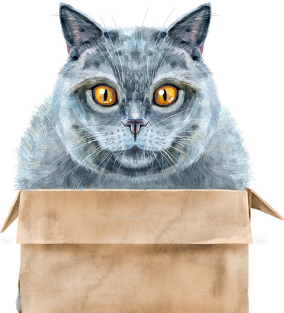 Portrait of a funny cat looking out of the box. Watercolor illustrationの写真素材
