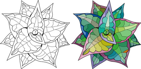 Succulents hand drawn figure desert flower. Floral garden design for invitation poster vectorのイラスト素材