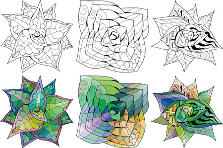 Set of Succulents hand drawn for coloring. Floral garden design for invitation poster vector. Color and outline setのイラスト素材