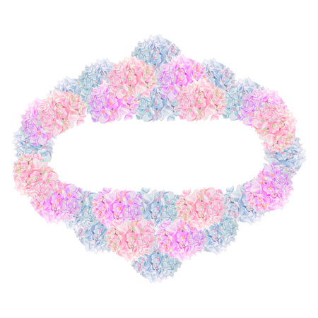 Oval frame of blue, pink and hydrangeas. Isolated on a white background.