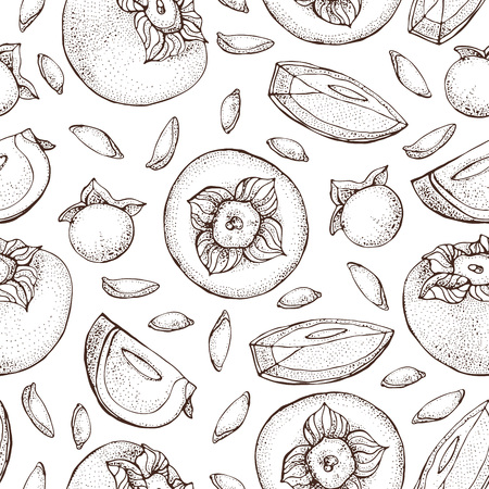 Persimmon vector seamless pattern. Hand drawn object with Persimmon sliced piece and seeds on white background. Fruit sketch style wallpaper. Detailed vegetarian food sketch.の写真素材