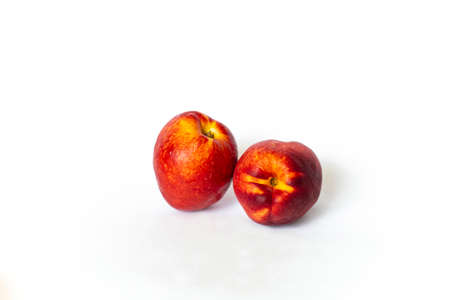Fresh nectarines on a white backgroundの写真素材