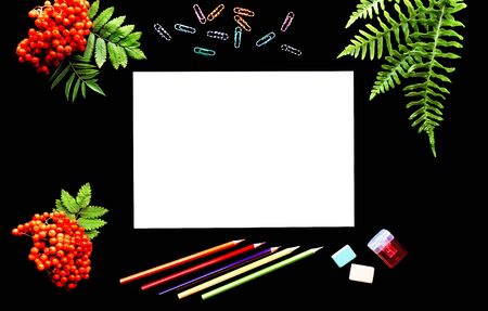 Back to school. School supplies on a table with rowan and a clean white blank in the center.の写真素材