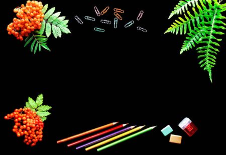 school bright supplies on a black background.の写真素材