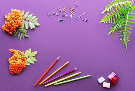 school bright supplies on a colored background.の写真素材