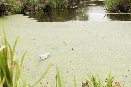 Garbage on the river of a big city. Empty used dirty plastic bottles in a swamp. Environmental...