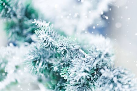 A closeup of a pine branch with snow. Christmas and New Year festive background.の写真素材