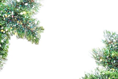 Fir tree branch in closeup fluffy snow isolated on a white background in serpentine. View from above.の写真素材
