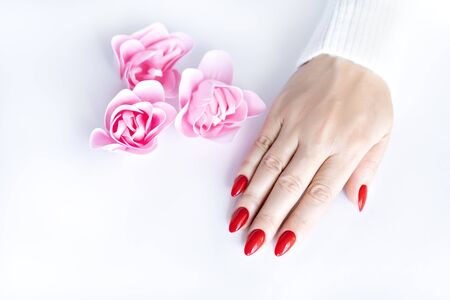 Red fashion manicure on delicate female hands. Hands of a beautiful young woman on a white isolated background with pink flowers. View from above.の写真素材