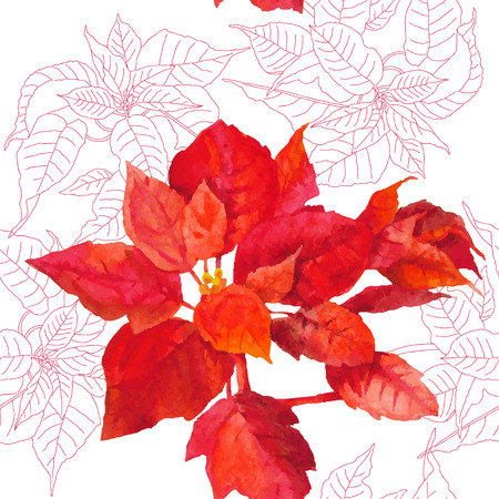 Seamless pattern  with poinsettia plant. Vector watercolor illustrationのイラスト素材