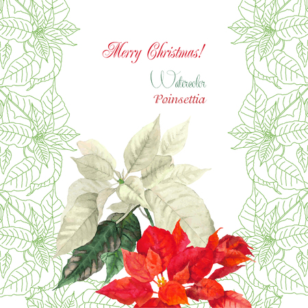 Background  with bouquet of  Christmas poinsettia.のイラスト素材