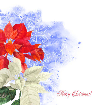 Watercolor background  with poinsettia. Vector  illustrationのイラスト素材
