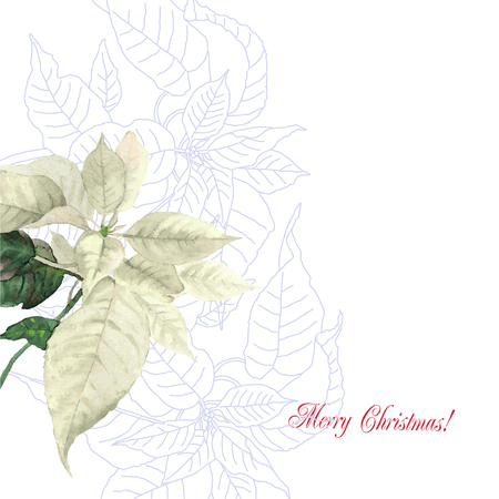 Watercolor background  with poinsettia. Vector flower illustrationのイラスト素材