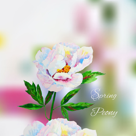 Background with pink white peony.Vector watercolor illustrationのイラスト素材