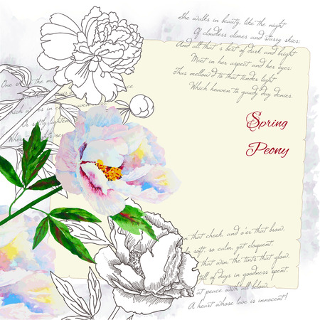 Background with pink white peony.Vector watercolor illustrationのイラスト素材
