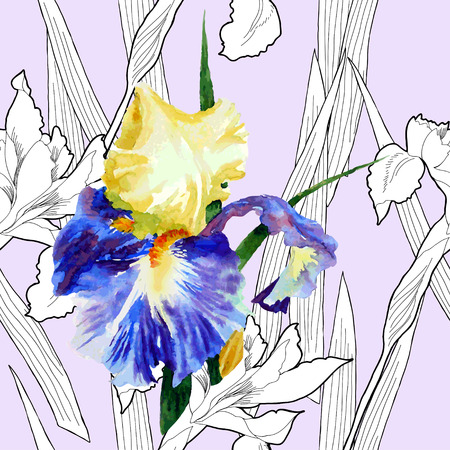 Seamless pattern iris. Vector illustrationのイラスト素材