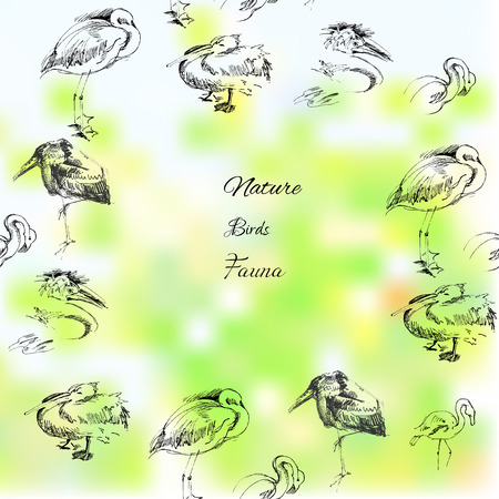 Background with birds. Vector nature Illustrationのイラスト素材