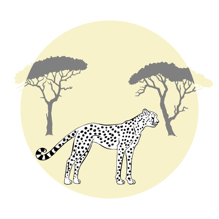 Cheetah between savannah trees. Vector Illustrationのイラスト素材