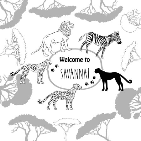 Background with savanna animals. Hand drawn vector trees, lion, cheetah, zebra and safari park. Vector Illustrationのイラスト素材