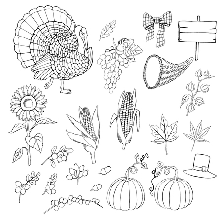 Thanksgiving day. Set of  hand drawn elements. Can be used for backgrounds and cards for Thanksgiving   decorations. Pumpkin, turkey, harvest, autumn. Vector Illustrationのイラスト素材