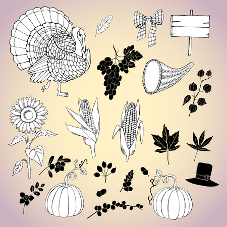 Thanksgiving day. Set of  hand drawn elements. Can be used for backgrounds and cards for Thanksgiving   decorations. Pumpkin, turkey, harvest, autumn. Vector Illustrationのイラスト素材