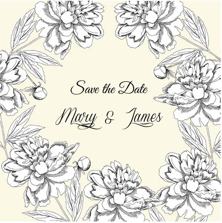 Wedding background with  white peony. Vector illustrationのイラスト素材