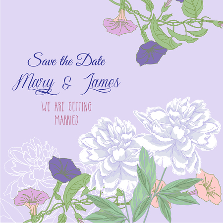 Background with bindweed and white peonies. Vector illustrationのイラスト素材