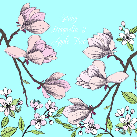 Background with magnolia and apple tree. Hand drawn spring flowers. Vector illustrationのイラスト素材