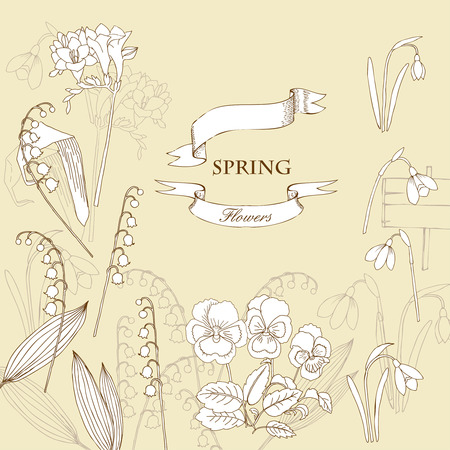 Background with  lily of the valley, galanthus and pansy. Hand drawn snowdrops flowers sketches. Vector Illustrationのイラスト素材