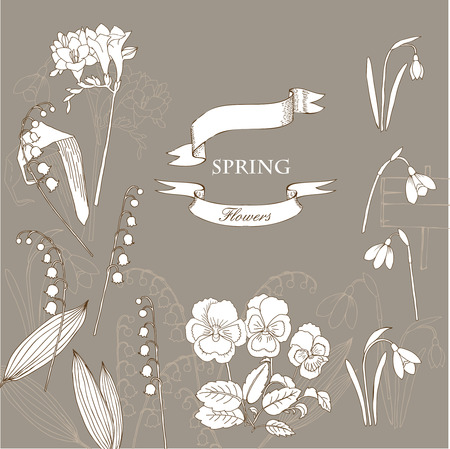 Background with  lily of the valley, galanthus and pansy. Hand drawn snowdrops flowers sketches. Vector Illustrationのイラスト素材