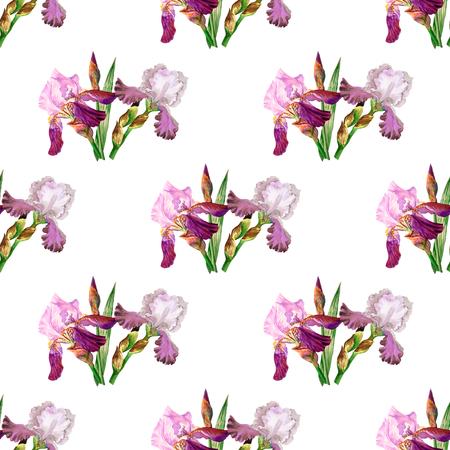 Seamless pattern with colored irises. Hand painted watercolor flowers. Botanical elements for illustrations and greeting cardsの写真素材