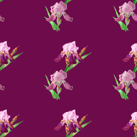 Seamless pattern with colored irises. Hand painted watercolor flowers. Botanical elements for illustrations and greeting cardsの写真素材