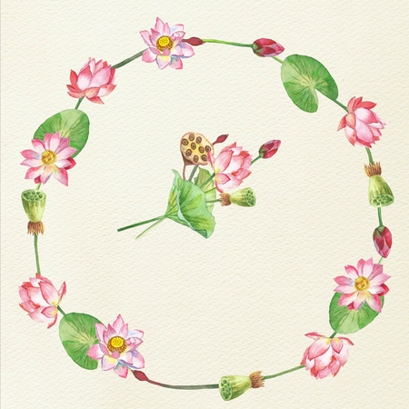 Beautiful Lotus Flowers . Hand painted watercolor illustrationの写真素材