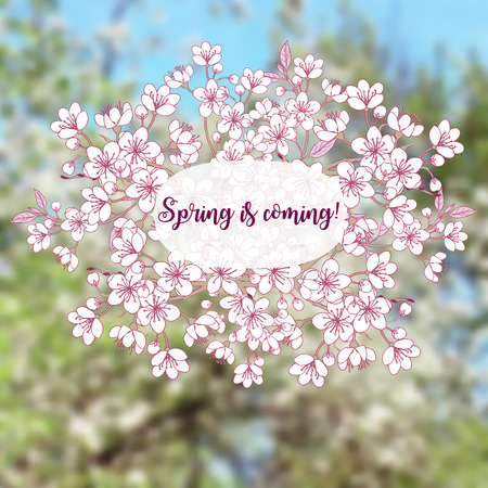 Spring background with sakuraのイラスト素材