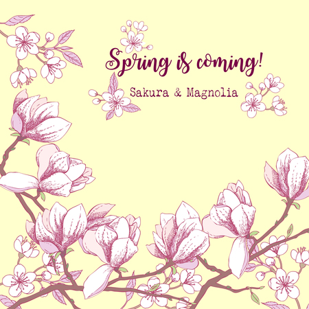 Background with sakura and magnoliaのイラスト素材
