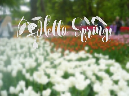 Spring garden flowers