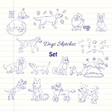  Funny Dogs Sketches. Hand drawn  animals vector illustrationのイラスト素材