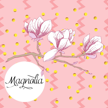 Magnolia, spring flowers illustration on pink background.のイラスト素材