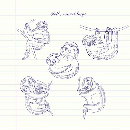 Sloths animals sketches. Hand Drawn Backgroundのイラスト素材