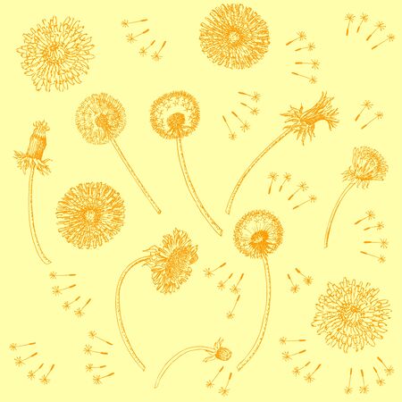 Dandelions Flowers Seamless Pattern.  Hand drawn sketchesのイラスト素材