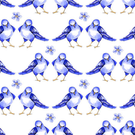 Watercolor seamless drawing, pattern, repetitive rapport for textiles, paper scrapbook on white background blue birdsの写真素材