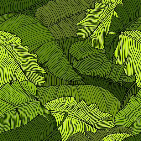 Seamless pattern of exotic, bright green leaves of a banana closeup. Decorative image with tropical foliage. Vector illustration EPS10.のイラスト素材