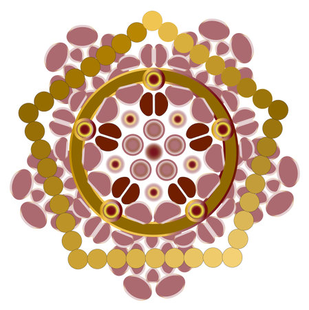 Polar ornament pattern, lace, style and inspiration for embroidery, cyclic drawing picture.の写真素材