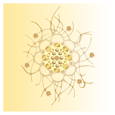 Polar ornament pattern, lace, style and inspiration for embroidery, cyclic drawing picture.の写真素材