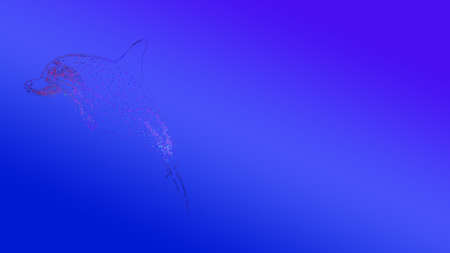 dolphin blue gradation backgrounの写真素材